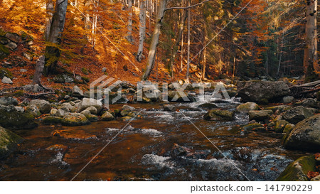 Crystal-clear mountain stream flowing through a vibrant autumn forest with golden foliage and large granite boulders. Peaceful wilderness landscape captured in warm natural light. Crystal-clear mountain stream flowing through a vibrant autumn forest with golden foliage and large granite boulders. Peaceful wilderness landscape captured in warm natural light. 141790229
