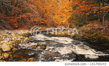 Crystal-clear mountain stream flowing through a vibrant autumn forest with golden foliage and large granite boulders. Peaceful wilderness landscape captured in warm natural light. 141790243