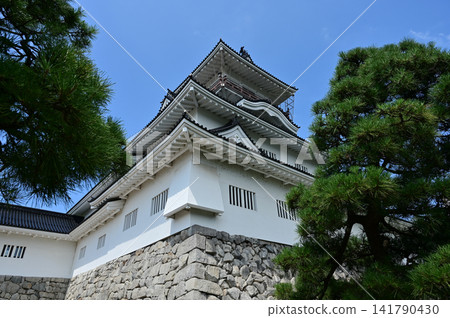 城堡天守閣和松樹(富山城遺址公園,富山城) 城堡天守閣和松樹(富山城遺址公園,富山城) 141790430