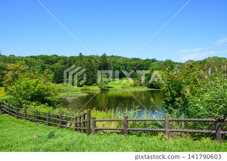 東名公園池塘(美白市) 東名公園池塘(美白市) 141790603
