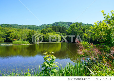 東名公園池塘(美白市) 東名公園池塘(美白市) 141790604