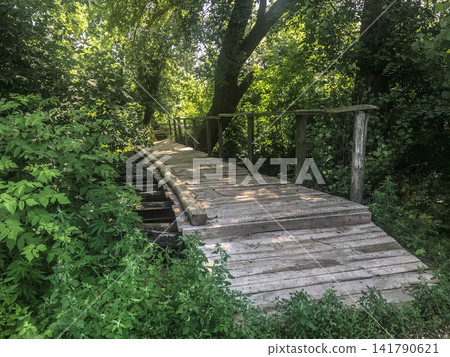 Old wooden footbridge in a lush green forest Old wooden footbridge in a lush green forest 141790621