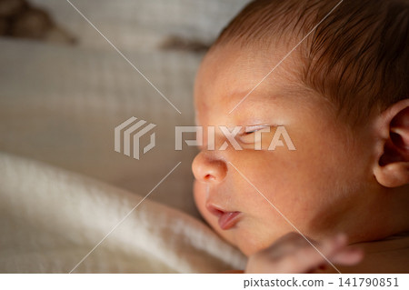Newborn baby sleeping peacefully, presenting innocence and new life Newborn baby sleeping peacefully, presenting innocence and new life 141790851