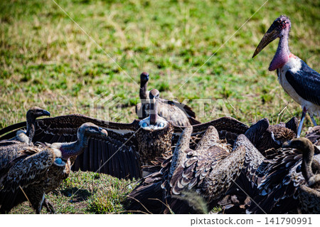 Kenya Photographers By Antony Trivet Photography Kenya Photographers By Antony Trivet Photography 141790991