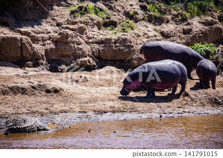 Kenya Photographers By Antony Trivet Photography Kenya Photographers By Antony Trivet Photography 141791015