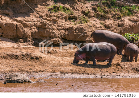 Kenya Photographers By Antony Trivet Photography Kenya Photographers By Antony Trivet Photography 141791016