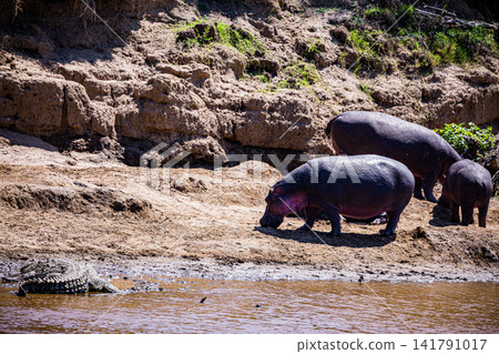 Kenya Photographers By Antony Trivet Photography Kenya Photographers By Antony Trivet Photography 141791017