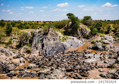 Kenya Photographers By Antony Trivet Photography Kenya Photographers By Antony Trivet Photography 141791024