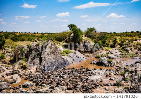 Kenya Photographers By Antony Trivet Photography Kenya Photographers By Antony Trivet Photography 141791026