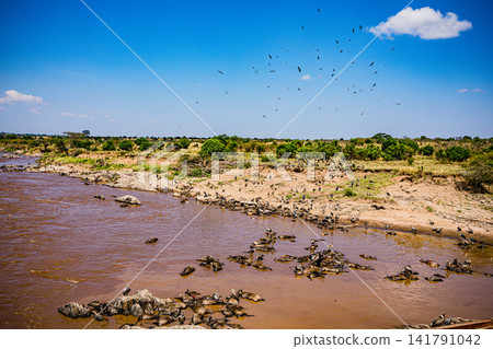 Kenya Photographers By Antony Trivet Photography Kenya Photographers By Antony Trivet Photography 141791042
