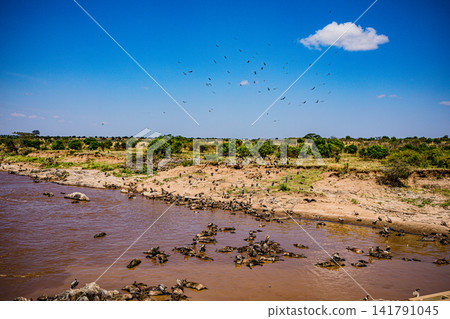 Kenya Photographers By Antony Trivet Photography Kenya Photographers By Antony Trivet Photography 141791045