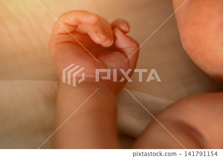 Newborn baby hand holding infant promise of life Newborn baby hand holding infant promise of life 141791154