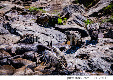 Kenya Photographers By Antony Trivet Photography Kenya Photographers By Antony Trivet Photography 141791180