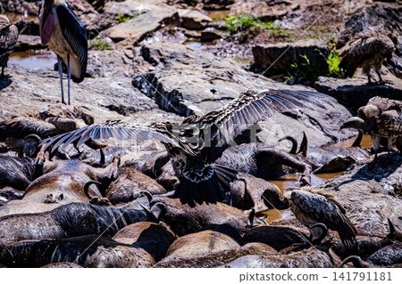 Kenya Photographers By Antony Trivet Photography Kenya Photographers By Antony Trivet Photography 141791181
