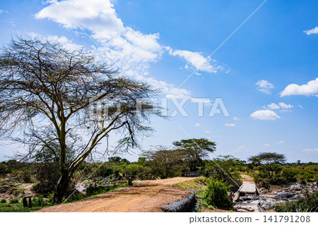 Kenya Photographers By Antony Trivet Photography Kenya Photographers By Antony Trivet Photography 141791208