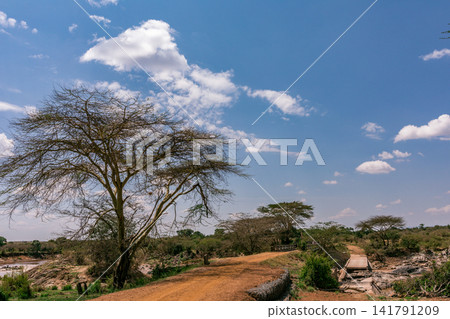 Kenya Photographers By Antony Trivet Photography Kenya Photographers By Antony Trivet Photography 141791209