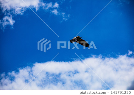 Kenya Photographers By Antony Trivet Photography Kenya Photographers By Antony Trivet Photography 141791230