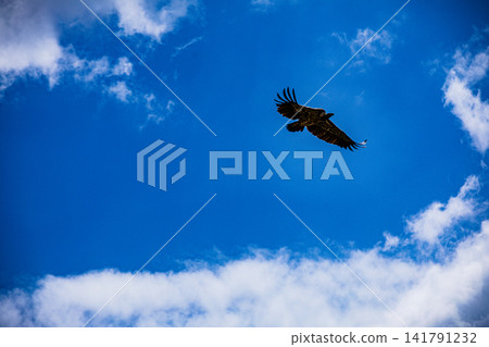 Kenya Photographers By Antony Trivet Photography Kenya Photographers By Antony Trivet Photography 141791232
