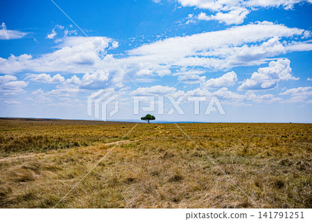 Kenya Photographers By Antony Trivet Photography Kenya Photographers By Antony Trivet Photography 141791251