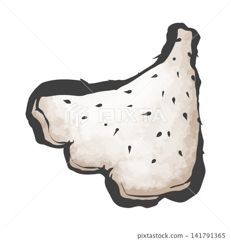 Hand-drawn brushstroke style illustration of a Japanese yam Hand-drawn brushstroke style illustration of a Japanese yam 141791365