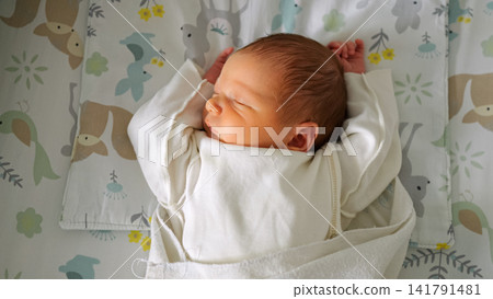 Newborn baby sleeping peacefully in a crib with animal patterns Newborn baby sleeping peacefully in a crib with animal patterns 141791481