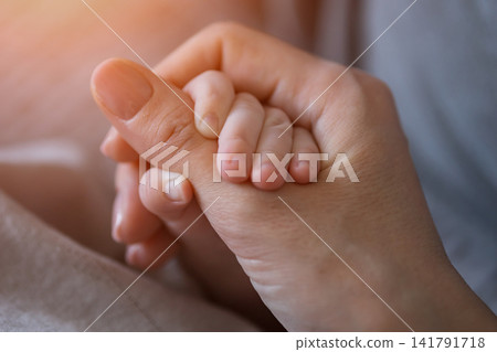 Newborn baby hand holding young mother's finger Newborn baby hand holding young mother's finger 141791718