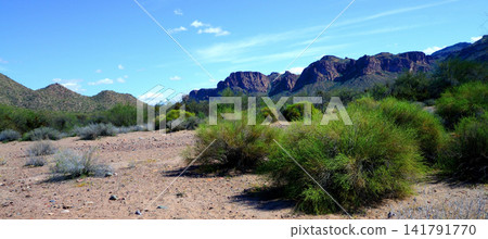 Salt River Recreation Area Arizona Salt River Recreation Area Arizona 141791770