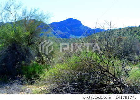 Salt River Recreation Area Arizona Salt River Recreation Area Arizona 141791773