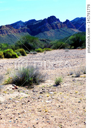 Salt River Recreation Area Arizona Salt River Recreation Area Arizona 141791776