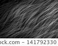 Black soft wool pattern texture abstract dark fluffy fur background structure backdrop 141792330