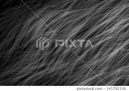 Black soft wool pattern texture abstract dark fluffy fur background structure backdrop Black soft wool pattern texture abstract dark fluffy fur background structure backdrop 141792330