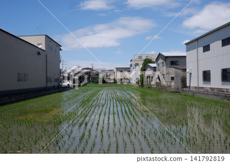 A rural landscape amidst the factory district of Higashi-Osaka. A rural landscape amidst the factory district of Higashi-Osaka. 141792819