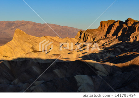 The bat of Zabriskie Point is bathed in a golden hue. The bat of Zabriskie Point is bathed in a golden hue. 141793454
