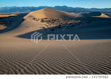 Sharply rising sand dune ridges Sharply rising sand dune ridges 141793482