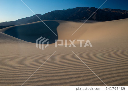 光滑的沙丘與深邃的陰影形成鮮明對比 光滑的沙丘與深邃的陰影形成鮮明對比 141793489