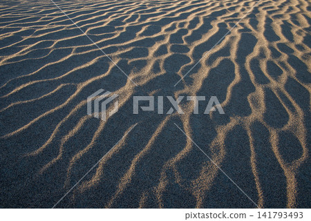 The abstract beauty of sand patterns created by light and shadow The abstract beauty of sand patterns created by light and shadow 141793493