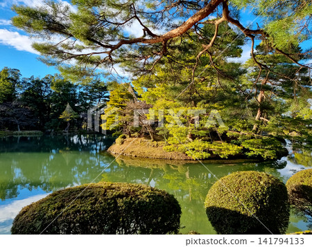Kenrokuen Japanese Garden Pond with Pine Trees and Yukitsuri Ropes in Kanazawa Japan Kenrokuen Japanese Garden Pond with Pine Trees and Yukitsuri Ropes in Kanazawa Japan 141794133