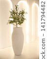 Large white vase with olive tree against illuminated glowing arches in minimalist interior 141794482