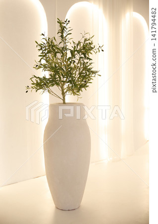 Large white vase with olive tree against illuminated glowing arches in minimalist interior Large white vase with olive tree against illuminated glowing arches in minimalist interior 141794482