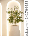 Large white vase with olive tree against illuminated glowing arches in minimalist interior 141794483