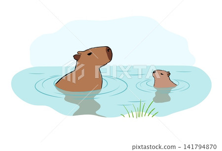 Capybara Mom and cute little Baby in water. Two capybaras take a bath and chilling. Wildlife animal outline illustration in sketch style Capybara Mom and cute little Baby in water. Two capybaras take a bath and chilling. Wildlife animal outline illustration in sketch style 141794870