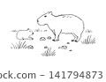 Capybara Mom and cute tiny Baby in wild nature background. The largest rodent, inhabiting river banks in Central and South America. Wildlife animal outline illustration in sketch style 141794873