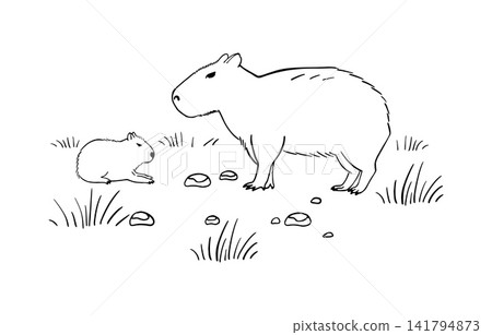 Capybara Mom and cute tiny Baby in wild nature background. The largest rodent, inhabiting river banks in Central and South America. Wildlife animal outline illustration in sketch style Capybara Mom and cute tiny Baby in wild nature background. The largest rodent, inhabiting river banks in Central and South America. Wildlife animal outline illustration in sketch style 141794873