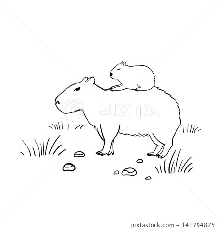Capybara Mom and cute little Baby in wild nature background. The largest rodent, inhabiting river banks in Central and South America. Wildlife animal outline illustration in sketch style Capybara Mom and cute little Baby in wild nature background. The largest rodent, inhabiting river banks in Central and South America. Wildlife animal outline illustration in sketch style 141794875
