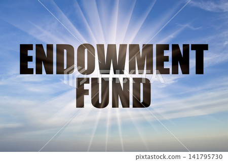 Endowment Fund Phrase on Bright Blue Day Sky with Glowing Rays Endowment Fund Phrase on Bright Blue Day Sky with Glowing Rays 141795730