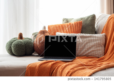 Cozy Living Room Setup With Autumn Decor and Laptop Cozy Living Room Setup With Autumn Decor and Laptop 141795805