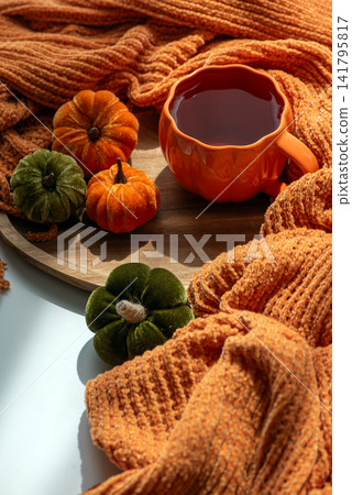 Cozy Autumn Scene with Pumpkins and Warm Drink on Wooden Tray Surrounded by Orange Blanket Cozy Autumn Scene with Pumpkins and Warm Drink on Wooden Tray Surrounded by Orange Blanket 141795817