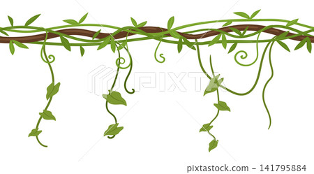 Hanging vine border. Climbing plant branches with leaves and tendrils flat vector illustration. Botanical decorative creeping border isolated on white background Hanging vine border. Climbing plant branches with leaves and tendrils flat vector illustration. Botanical decorative creeping border isolated on white background 141795884