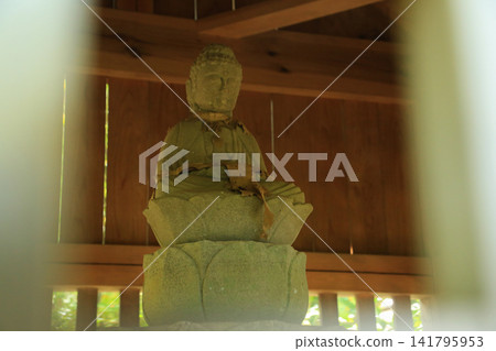 愛媛縣宇和島市大成寺 愛媛縣宇和島市大成寺 141795953