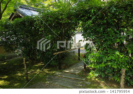愛媛縣宇和島市大成寺 愛媛縣宇和島市大成寺 141795954